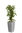 Pflanzen-Set 'Barcelona' - 5 Pflanzsäulen nach Wahl, Kaufpreis