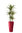 Pflanzen-Set 'Amsterdam' - 3 Pflanzsäulen nach Wahl, Kaufpreis