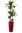 Pflanzen-Set 'Amsterdam' - 3 Pflanzsäulen nach Wahl, Kaufpreis