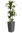 Pflanzen-Set 'Kopenhagen' - 7 Pflanzsäulen nach Wahl, Kaufpreis